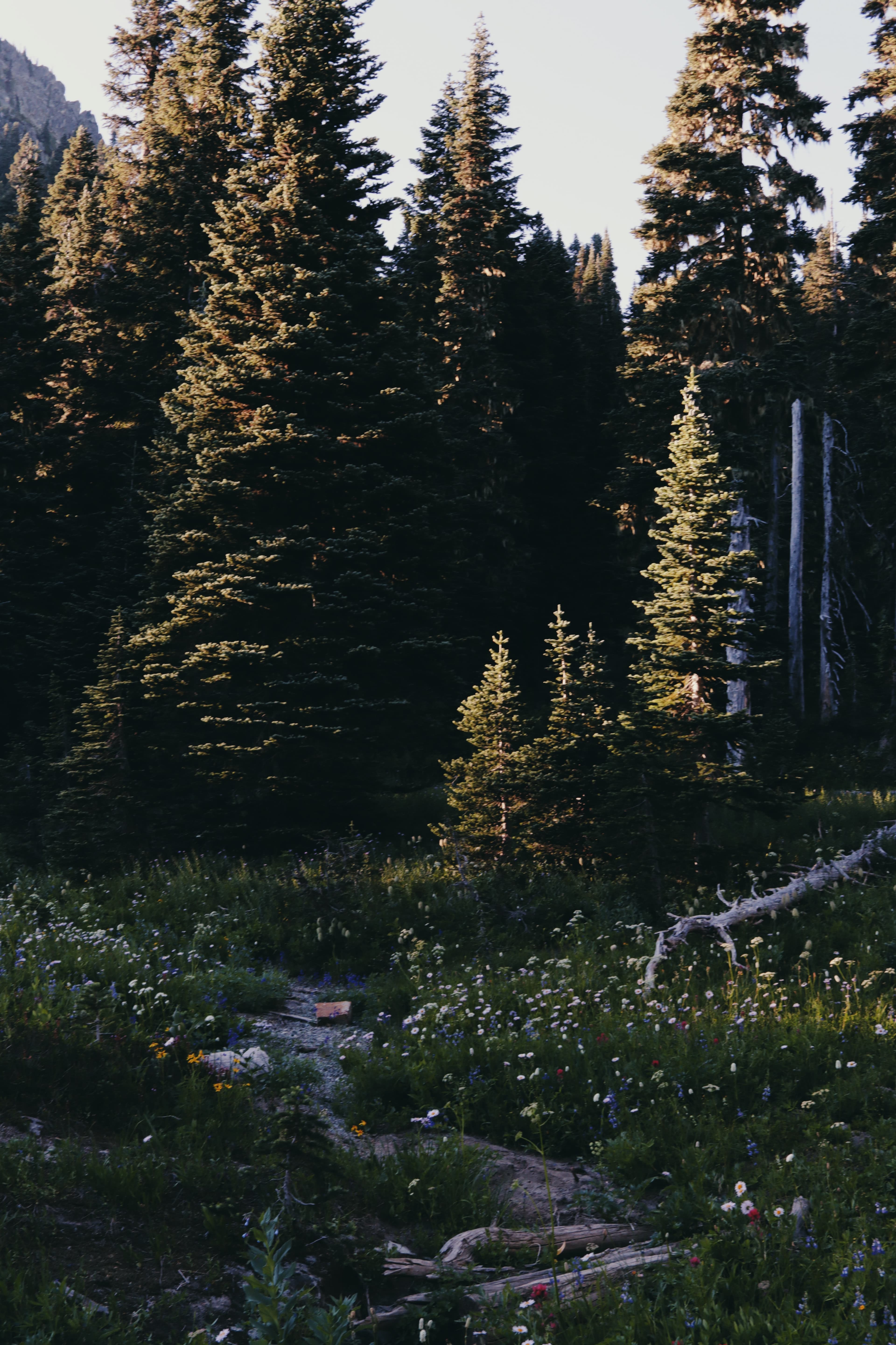 landscape image