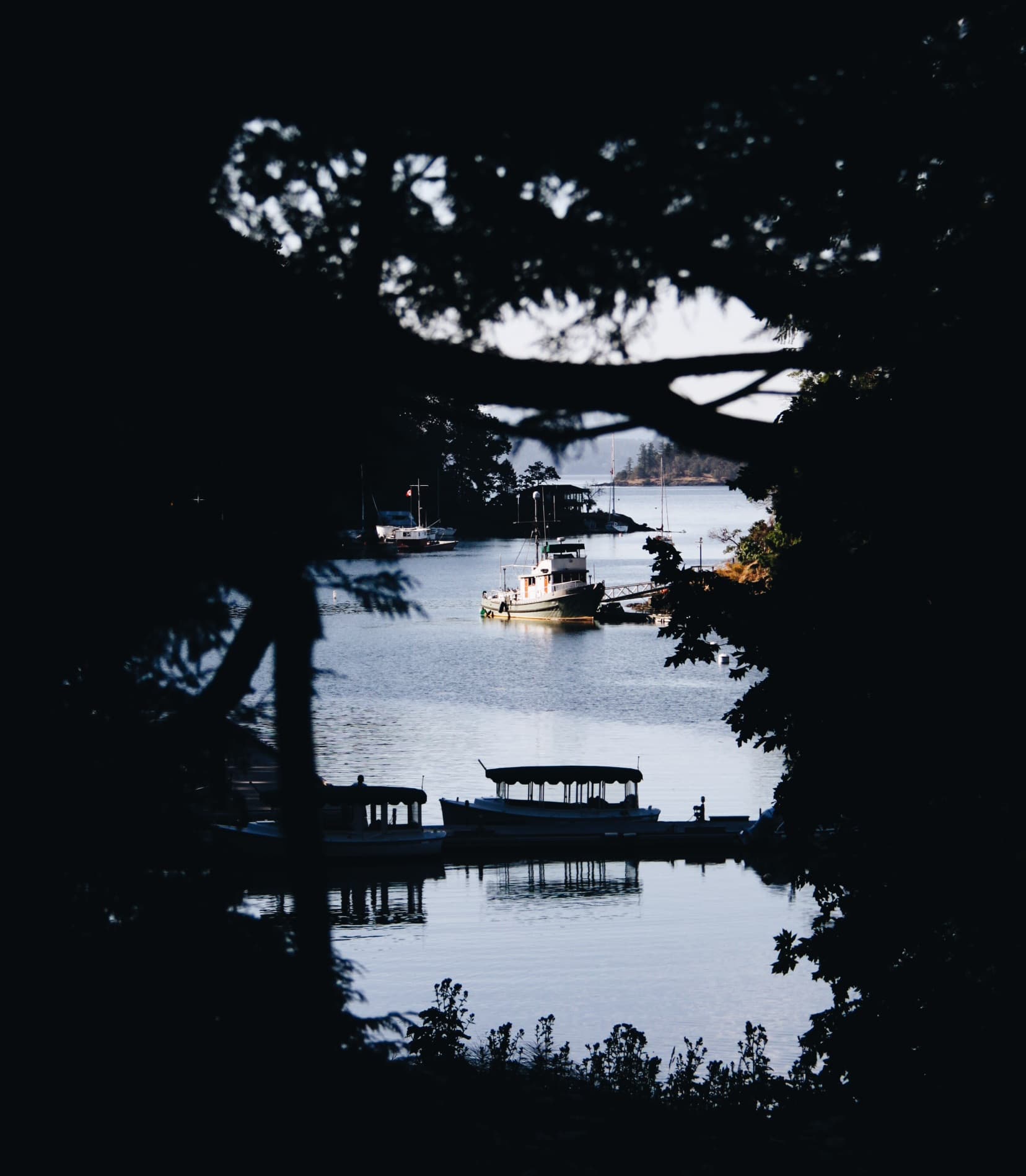 landscape image